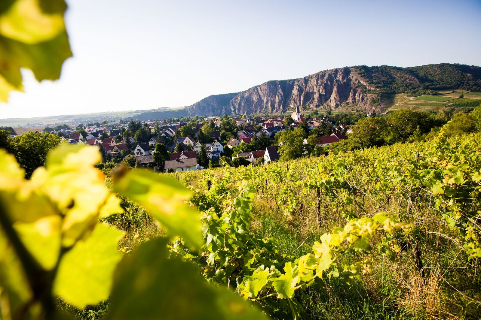 (c) Fdp-kreis-badkreuznach.de